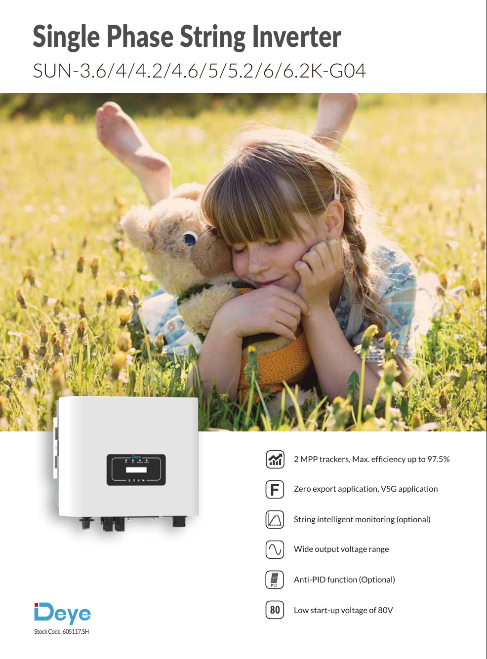 Single Phase String Inverter (2)